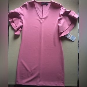 NWT Nina Leonard Dark Pink Butterfly Sleeve Dress (Small)